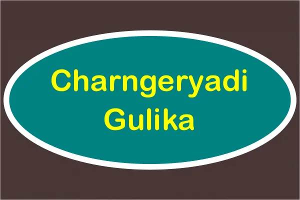 Charngeryadi Gulika - 120 Nos - Rajah Ayurveda